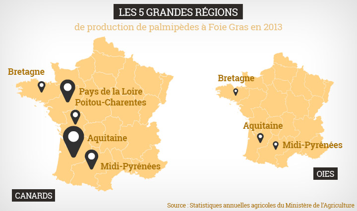 regions production foie gras